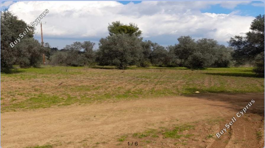 land for sale lythrodontas nicosia 7948973 image 16176228