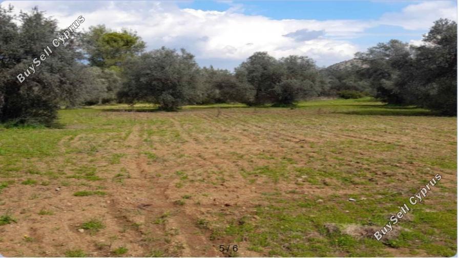 land for sale lythrodontas nicosia 7948973 image 16176231