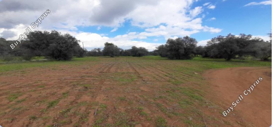 land for sale lythrodontas nicosia 7948973 image 16176233