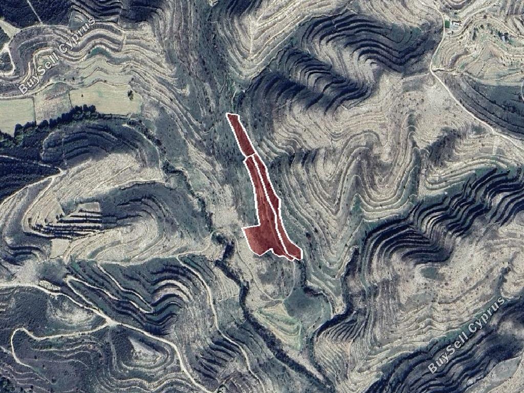 land for sale pachna limassol 8629973 image 16656077