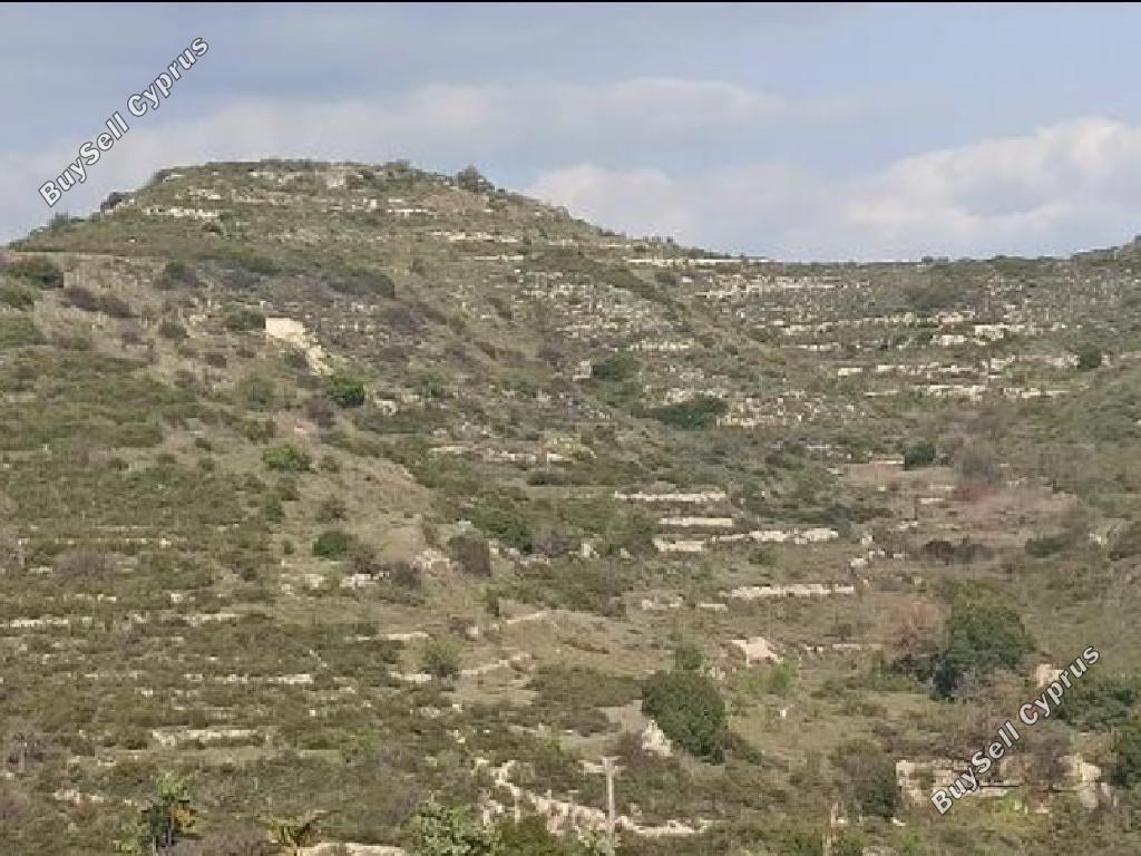 land for sale pachna limassol 8629973 image 16656078