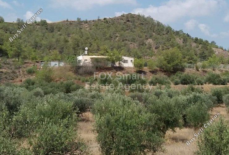 3 bedroom detached house for sale alampra nicosia 7784083 image 11895514