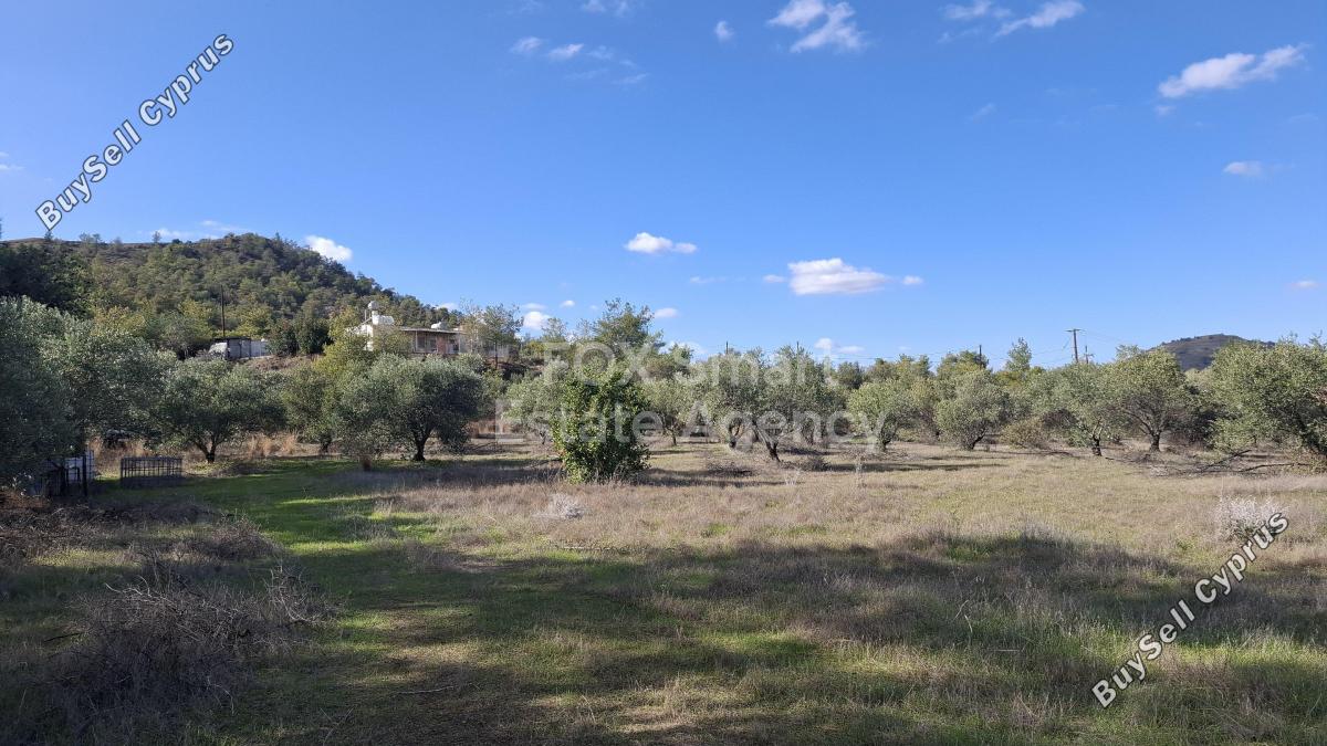 3 bedroom detached house for sale alampra nicosia 7784083 image 11895517