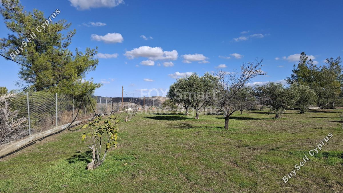 3 bedroom detached house for sale alampra nicosia 7784083 image 11895519