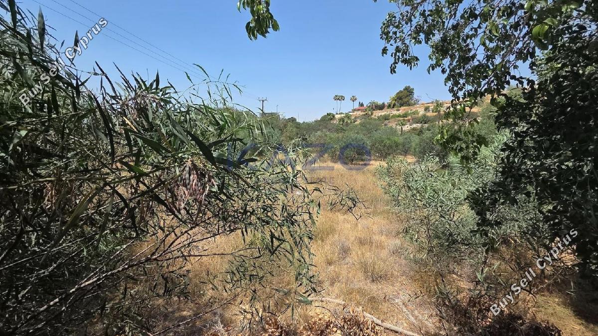 land for sale agios tychonas limassol 1768083 image 17034861