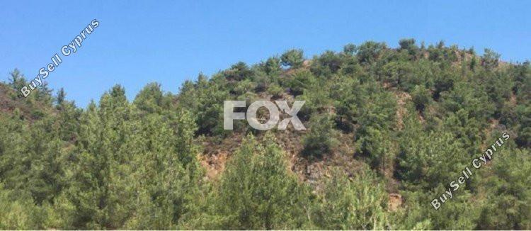 land for sale kato platres limassol 1159083 image 5517249