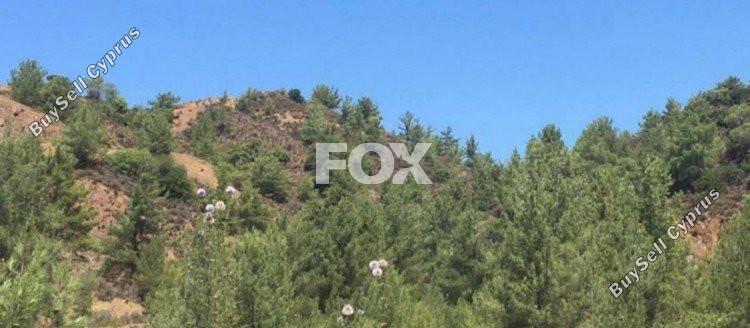 land for sale kato platres limassol 1159083 image 5517251