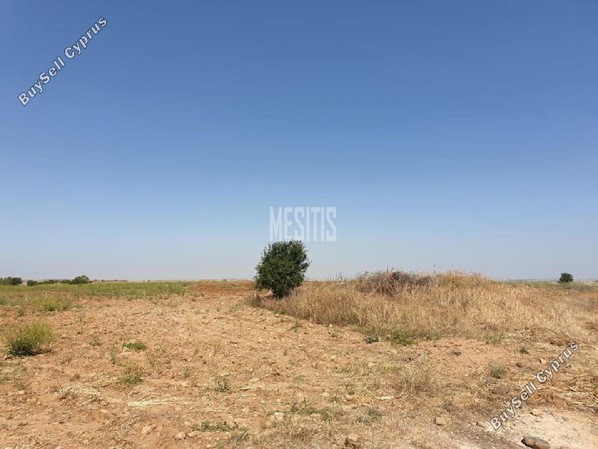 land for sale pera orinis nicosia 8786083 image 16662643