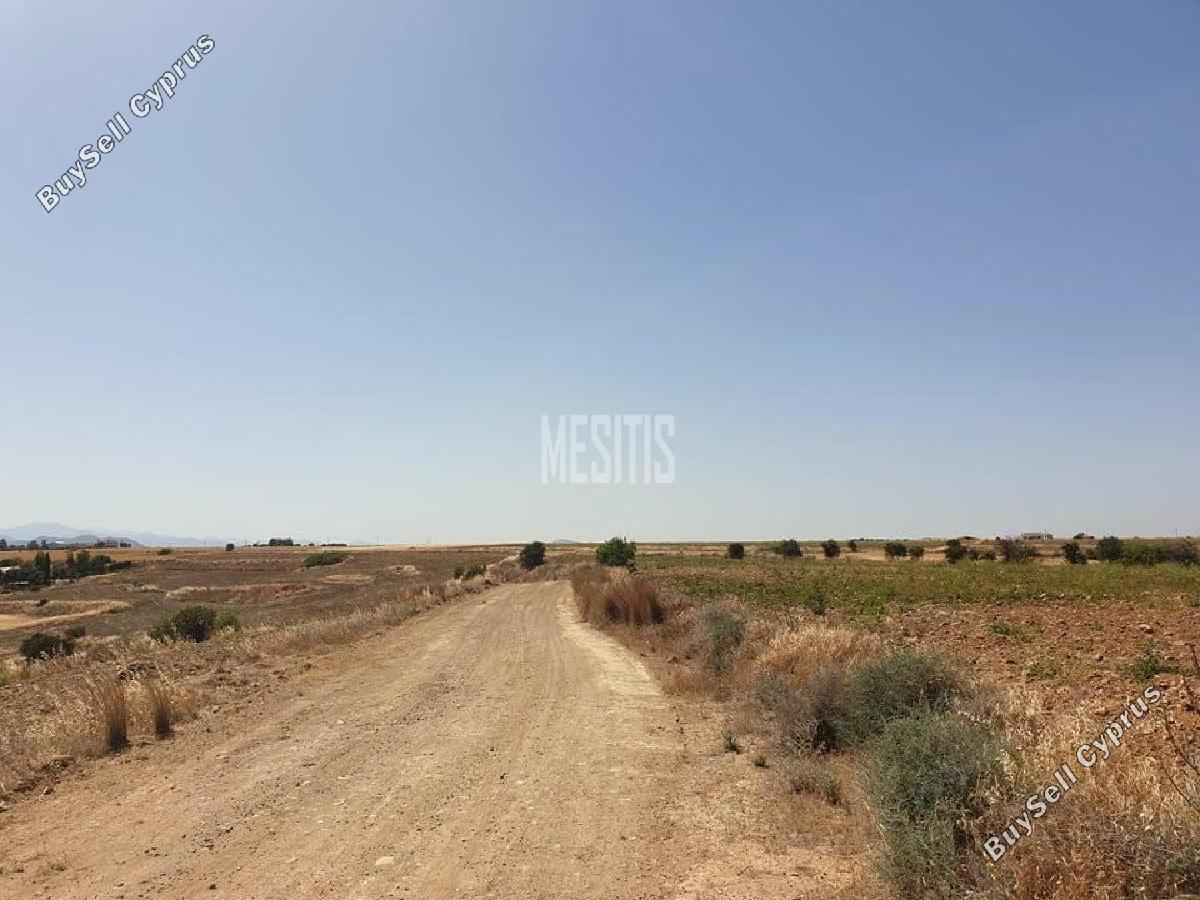 land for sale pera orinis nicosia 8786083 image 16662644