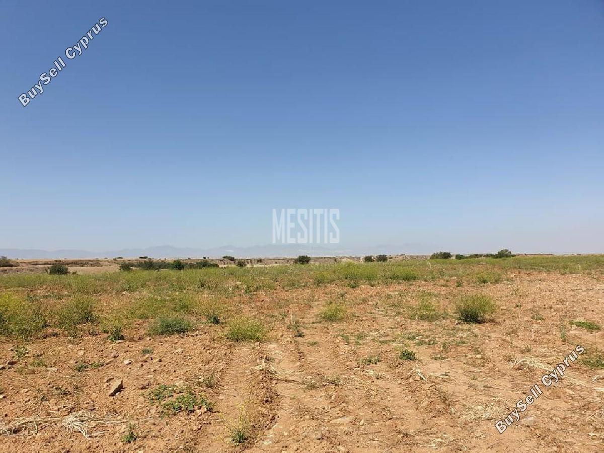 land for sale pera orinis nicosia 8786083 image 16662645