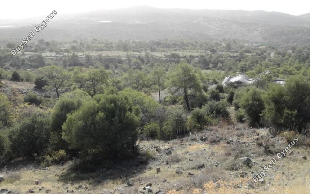 land under offer foinikaria limassol 829183 image 16545278