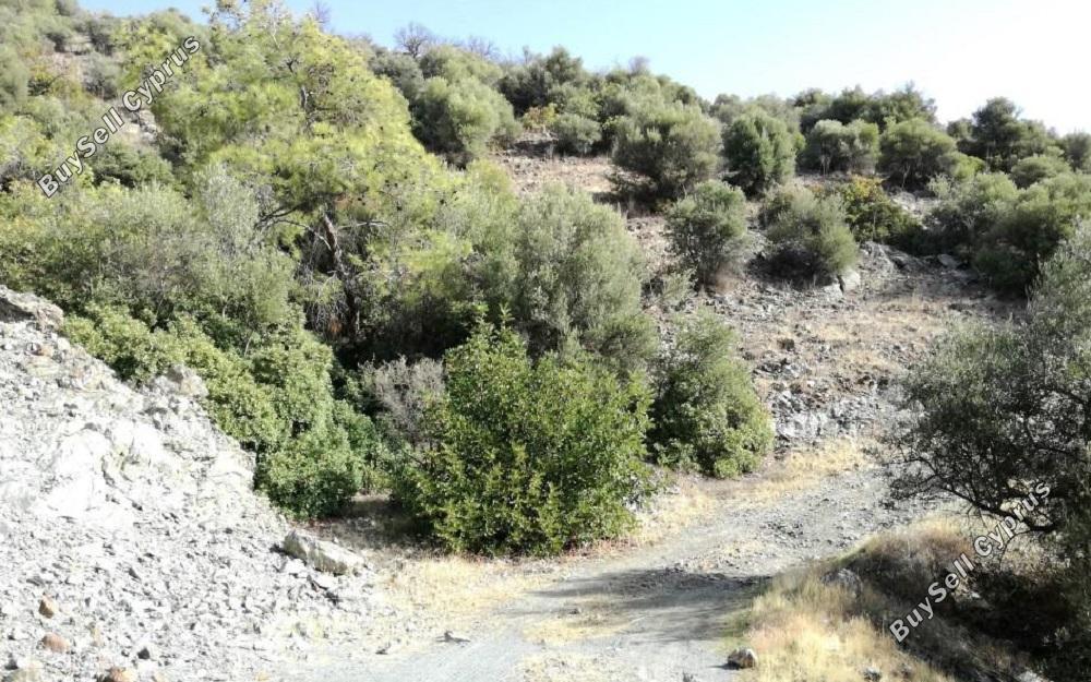 land under offer foinikaria limassol 829183 image 16545282