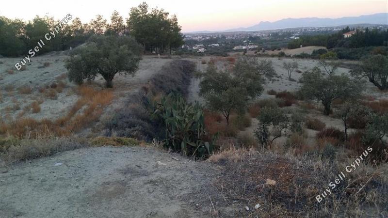 plot for sale pera orinis nicosia 1062183 image 16181529