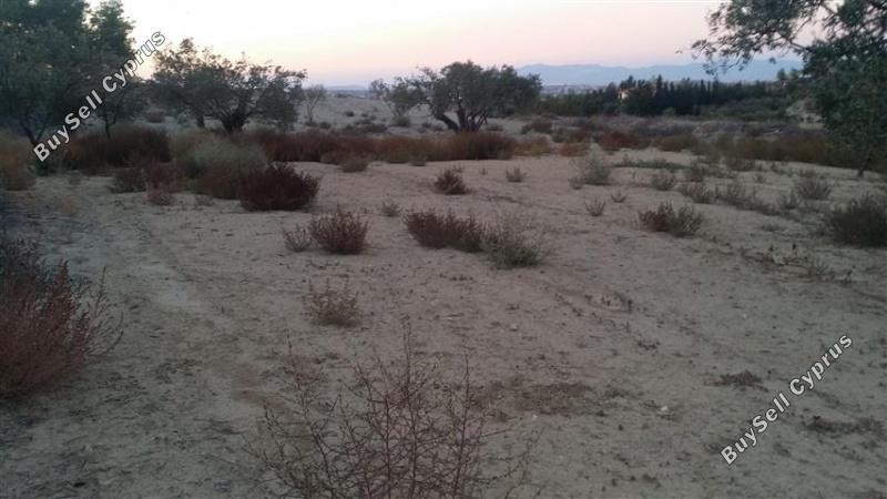 plot for sale pera orinis nicosia 1062183 image 16181531