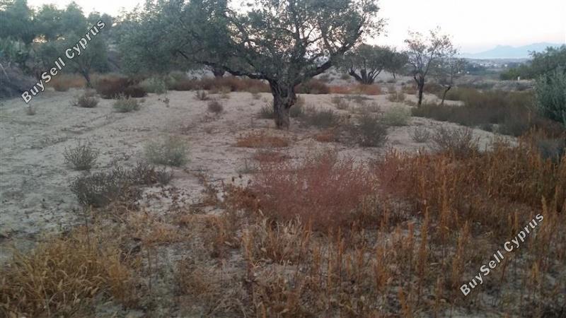 plot for sale pera orinis nicosia 1062183 image 16181534