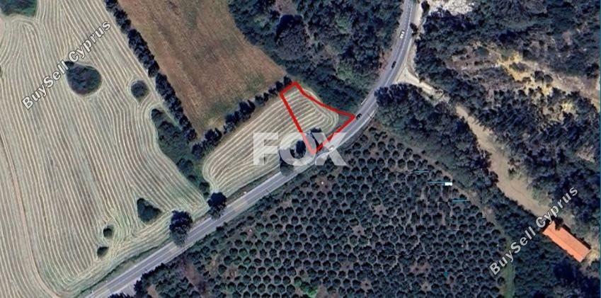 land for sale poli chrysochous paphos 1697283 image 9384653