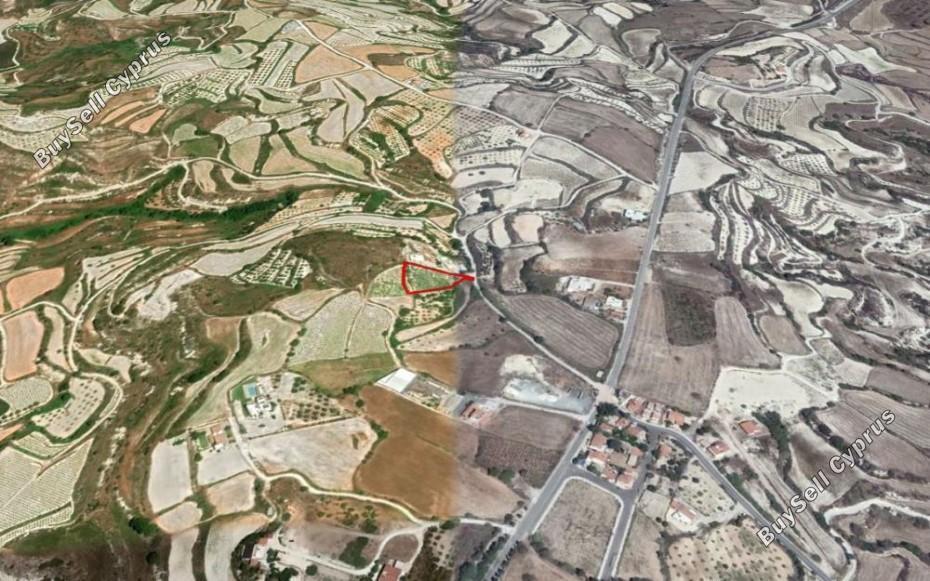 2350 SQM Land for sale in Kallepeia, Paphos 12895199
