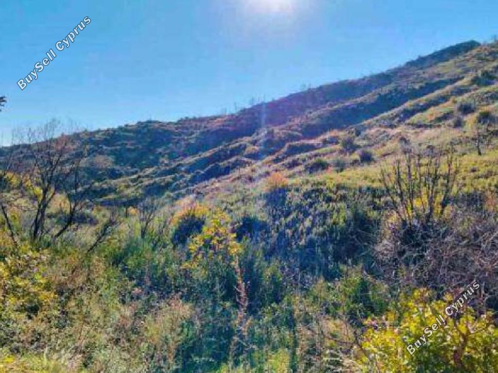 4014 SQM Land for sale in Melini, Larnaca 13393164