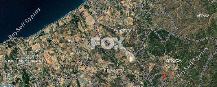 land for sale kinousa paphos 1271383 image 5520024