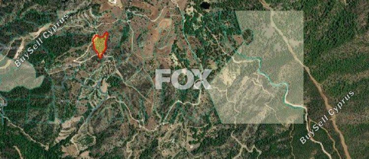 land for sale kinousa paphos 1271383 image 5520025