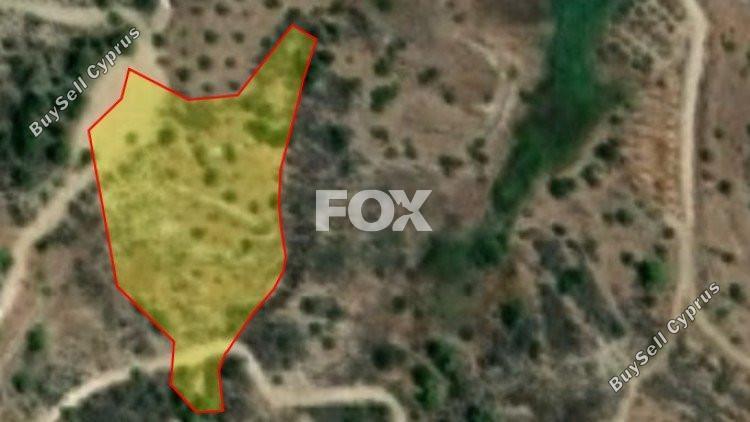 land for sale kinousa paphos 1271383 image 5520028