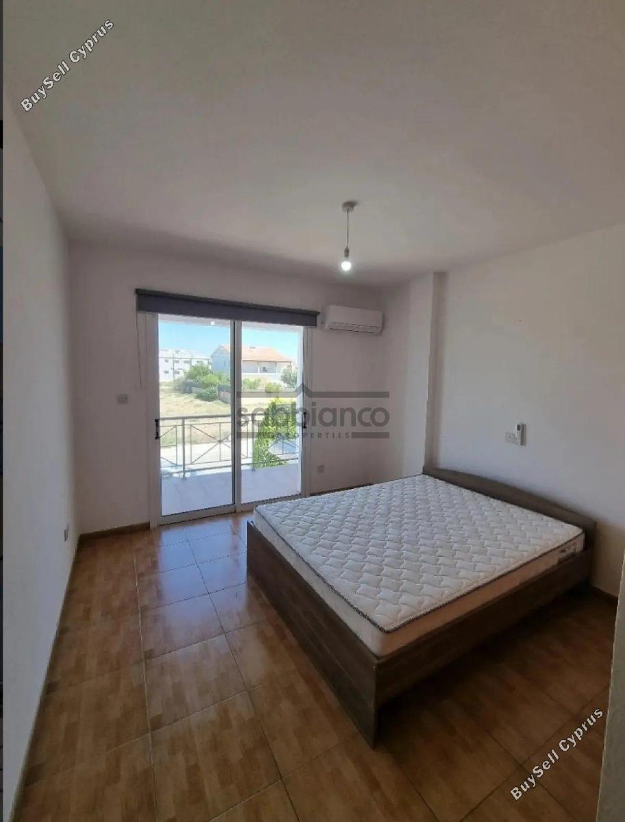 3 bedroom detached house for sale kiti larnaca 8737483 image 16355434