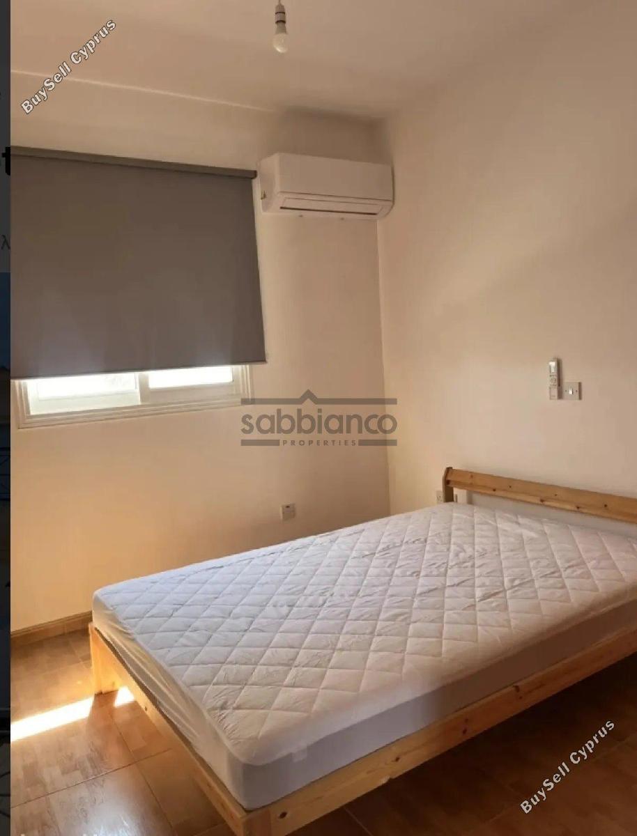 3 bedroom detached house for sale kiti larnaca 8737483 image 16355435