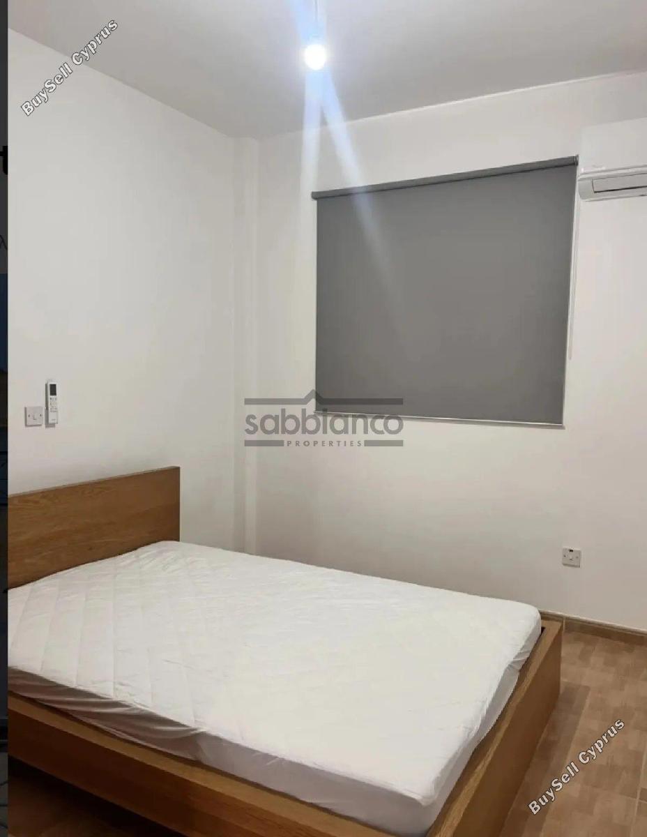 3 bedroom detached house for sale kiti larnaca 8737483 image 16355436