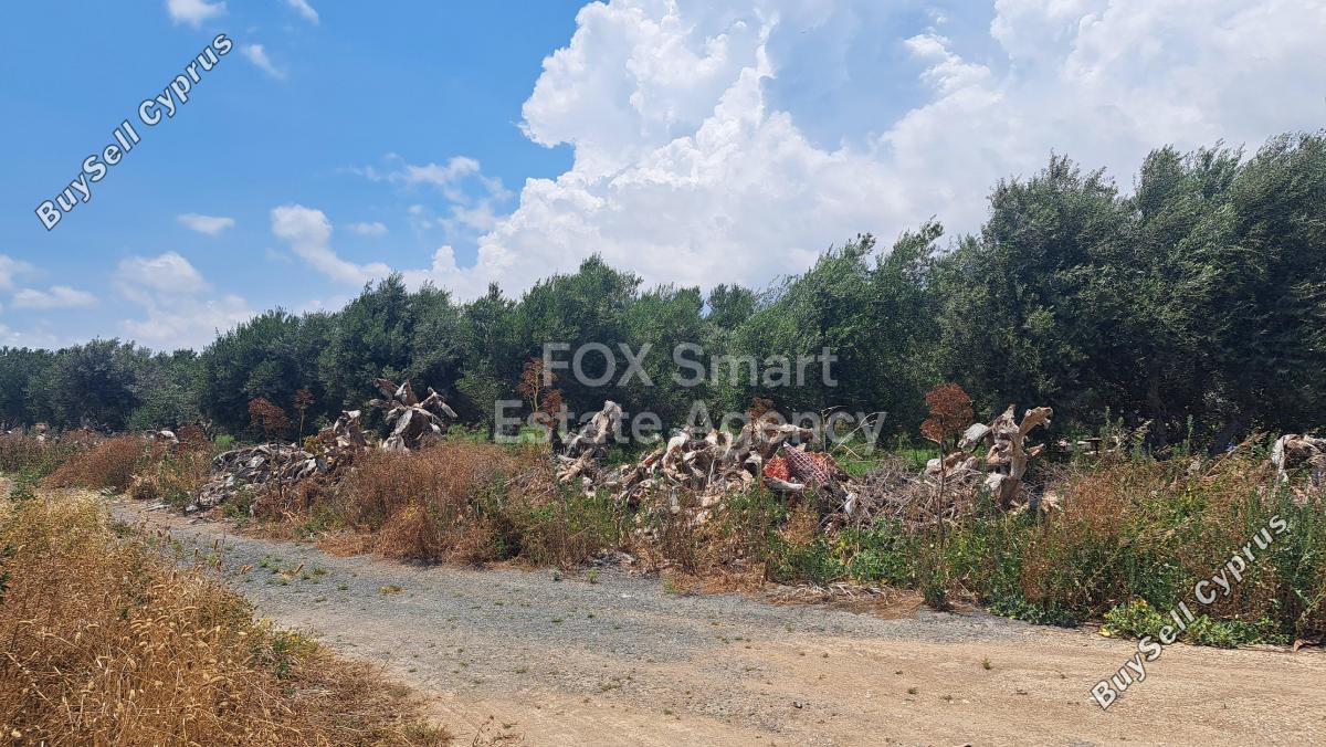 land for sale kiti larnaca 8758483 image 16519312
