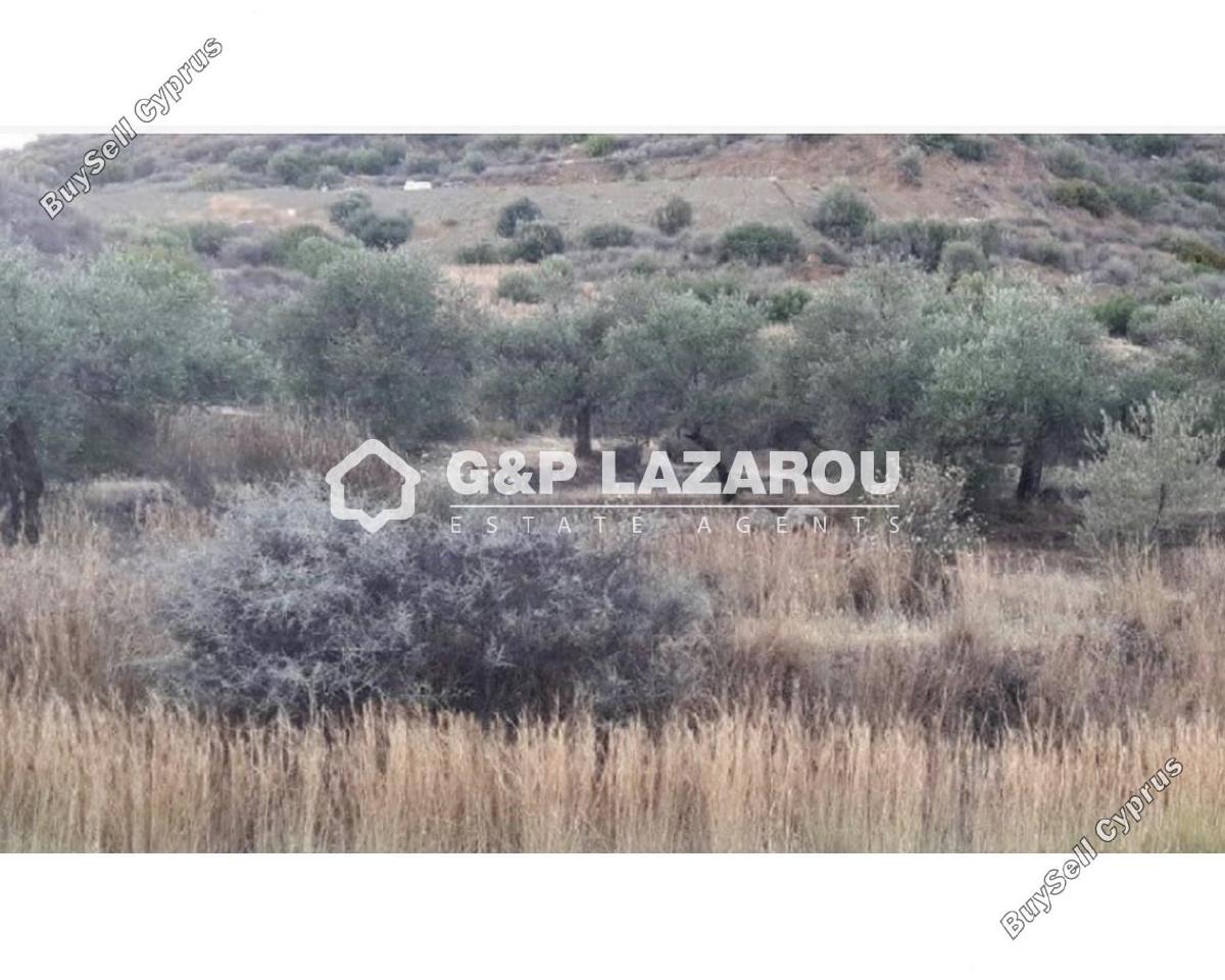 land for sale ora larnaca 1659483 image 5312845