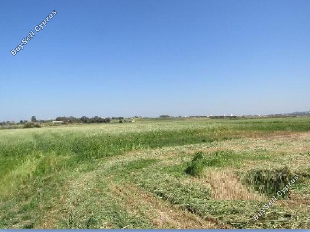 land for sale paralimni famagusta 8274483 image 15596046