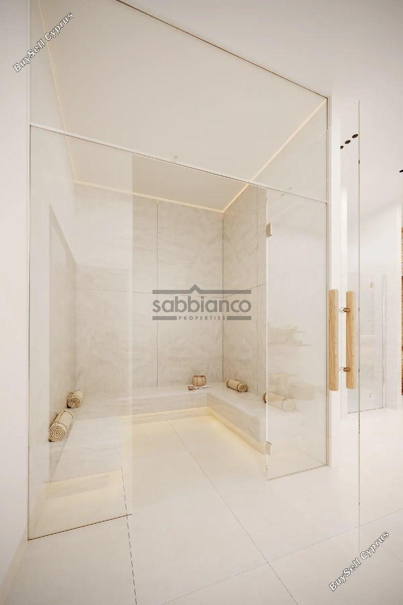 1 bedroom apartment for sale livadia larnacas larnaca 8736583 image 16349361