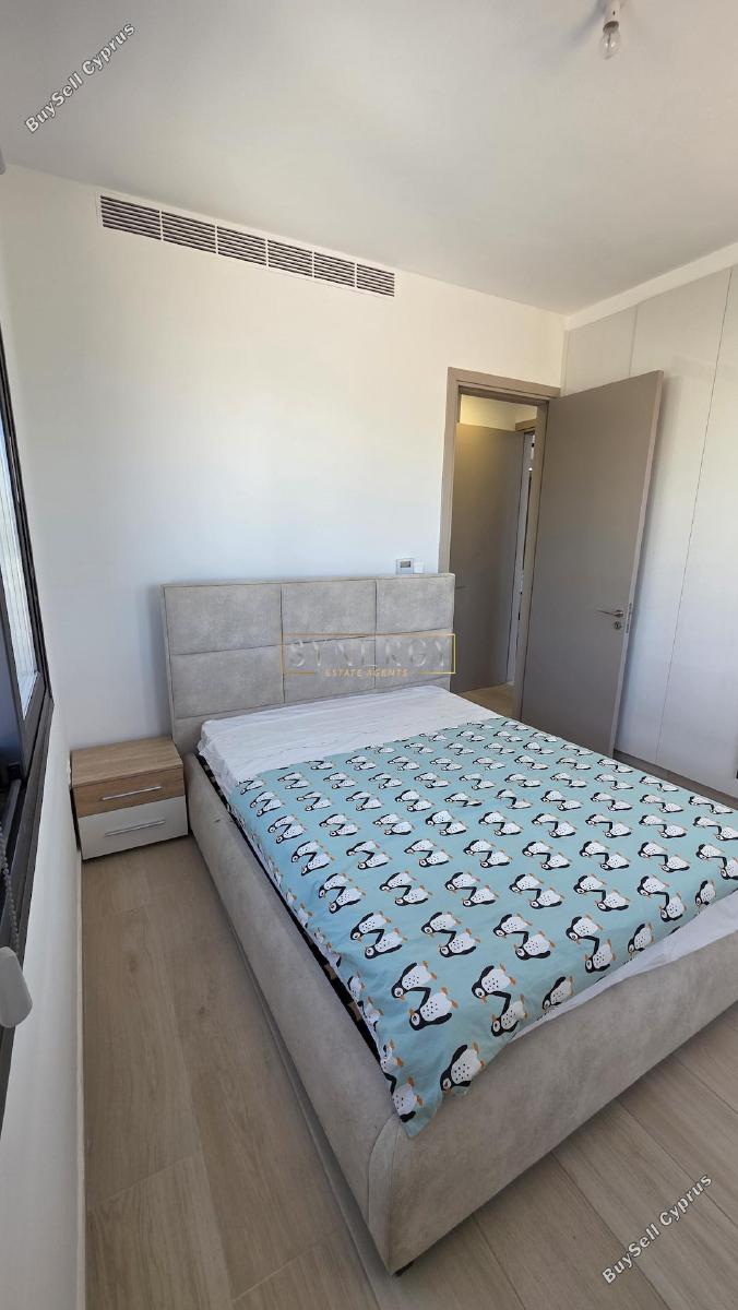 2 bedroom apartment for rent dasoupoli nicosia 8839583 image 17545264