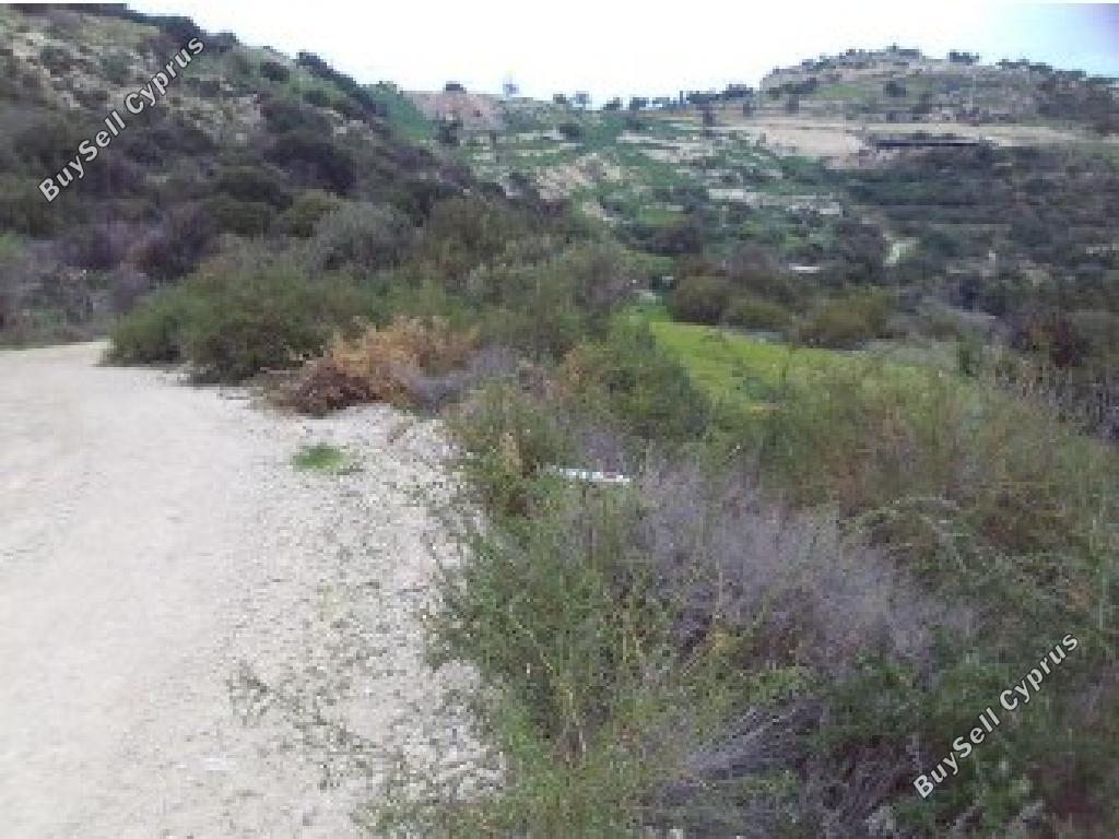 land for sale drousia paphos 8526583 image 15595047