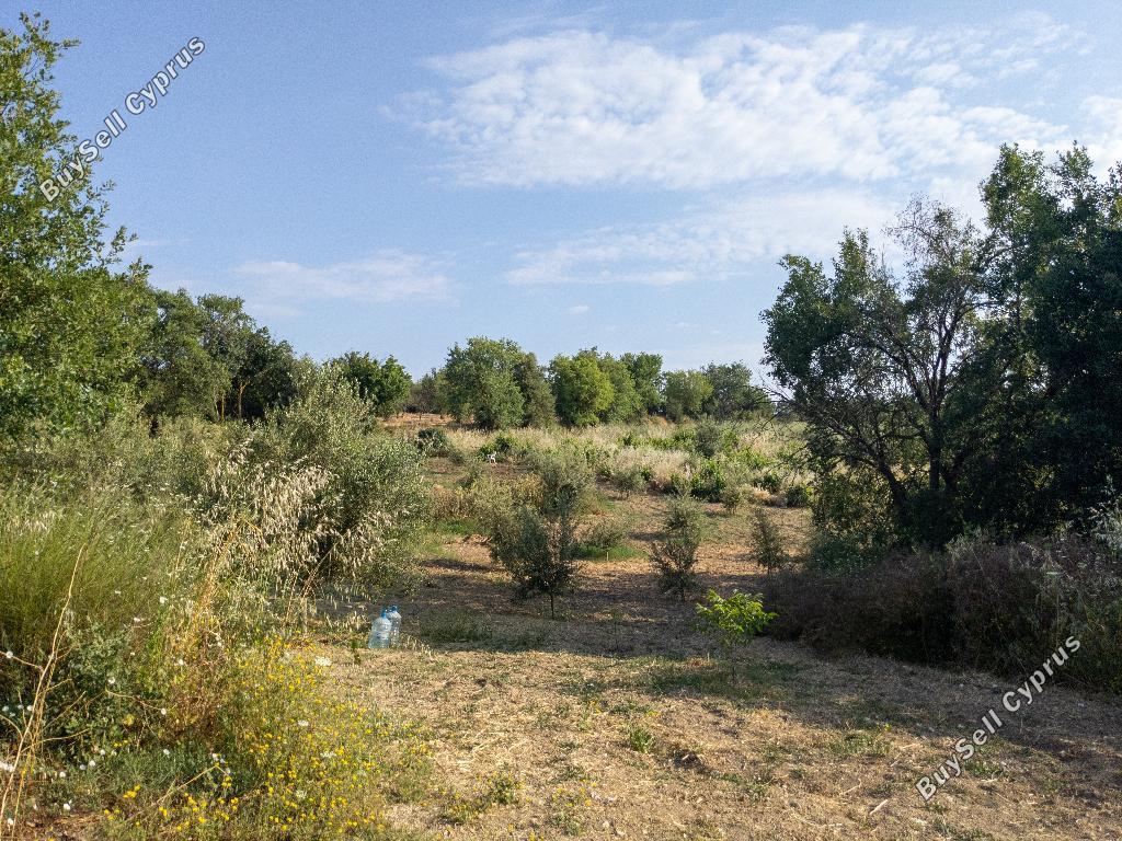land for sale giolou paphos 944583 image 15598894