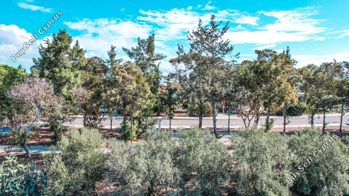 land for sale kiti larnaca 957583 image 5591969