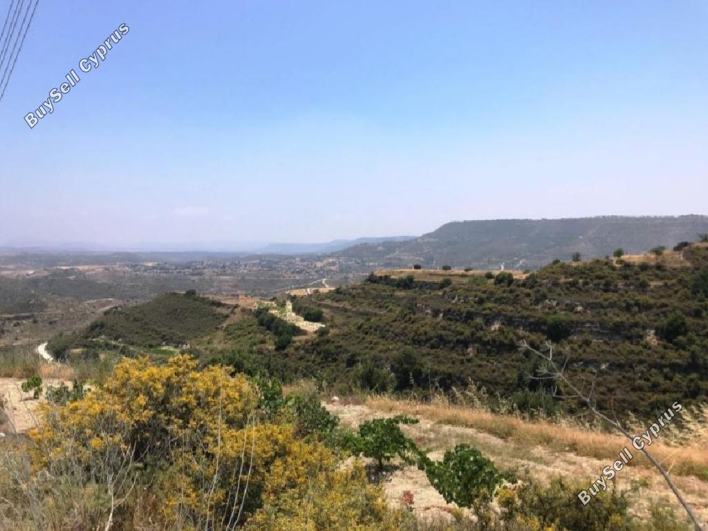 land for sale pachna limassol 826583 image 15600595