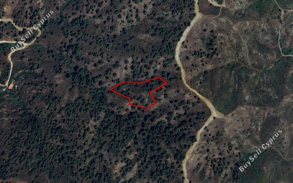 land for sale kakopetria nicosia 1397683 image 6572519