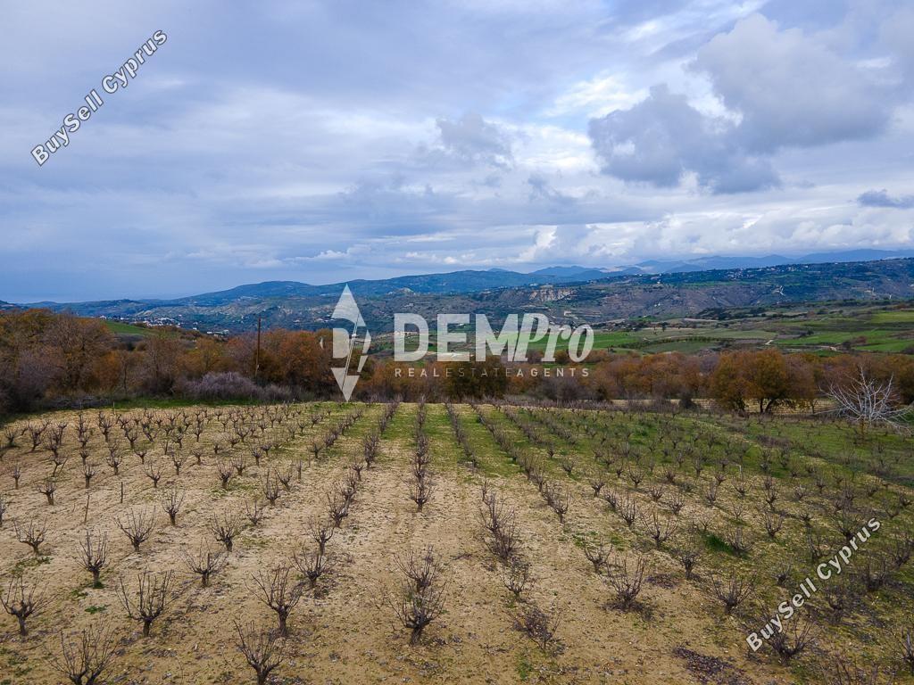 land for sale stroumbi paphos 7842783 image 17603089