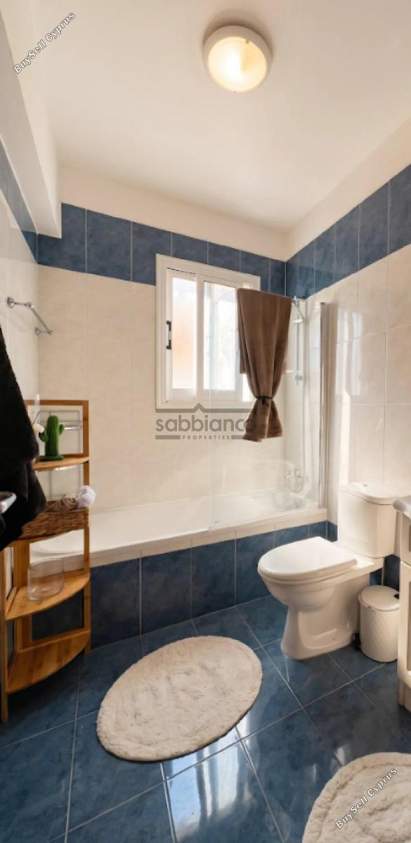 1 bedroom apartment for sale paphos municipality paphos 8813883 image 16874954
