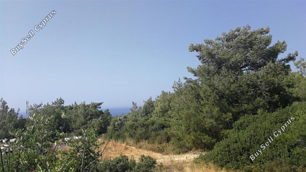 land for sale neo chorio paphos 839883 image 5480428