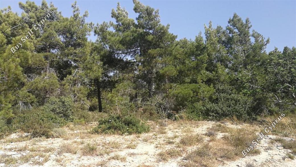 land for sale neo chorio paphos 839883 image 5480431