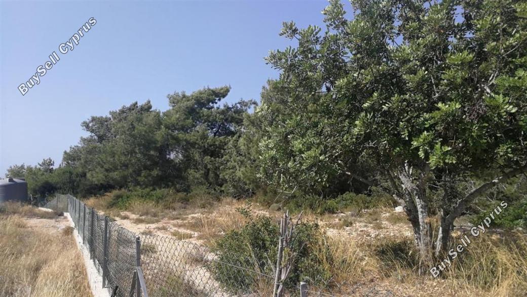 land for sale neo chorio paphos 839883 image 5480432