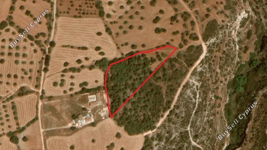 land for sale neo chorio paphos 839883 image 5480434