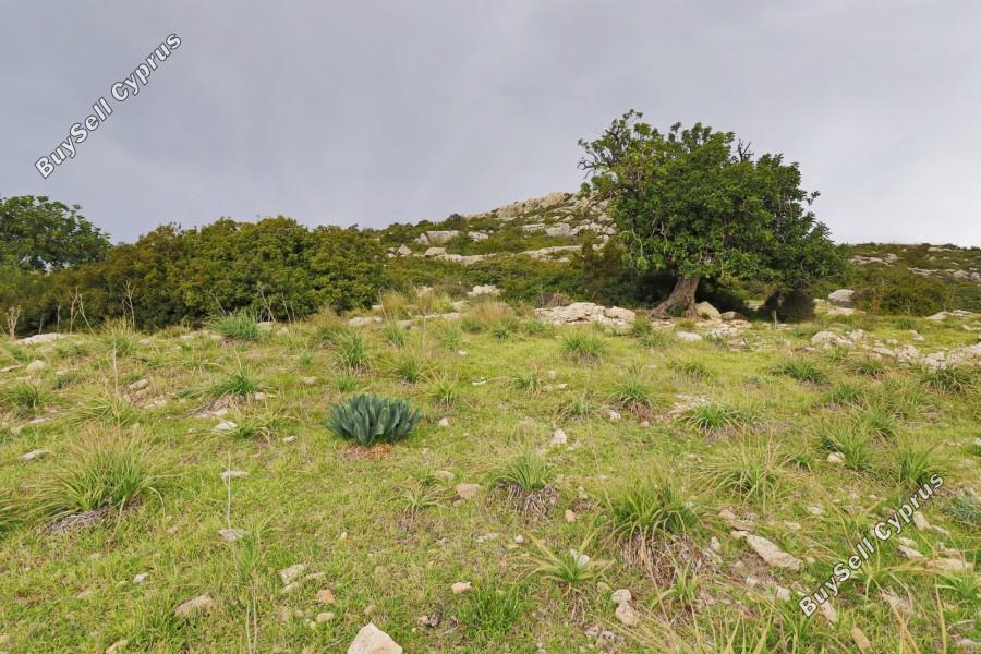land for sale peyia paphos 8529883 image 15779569