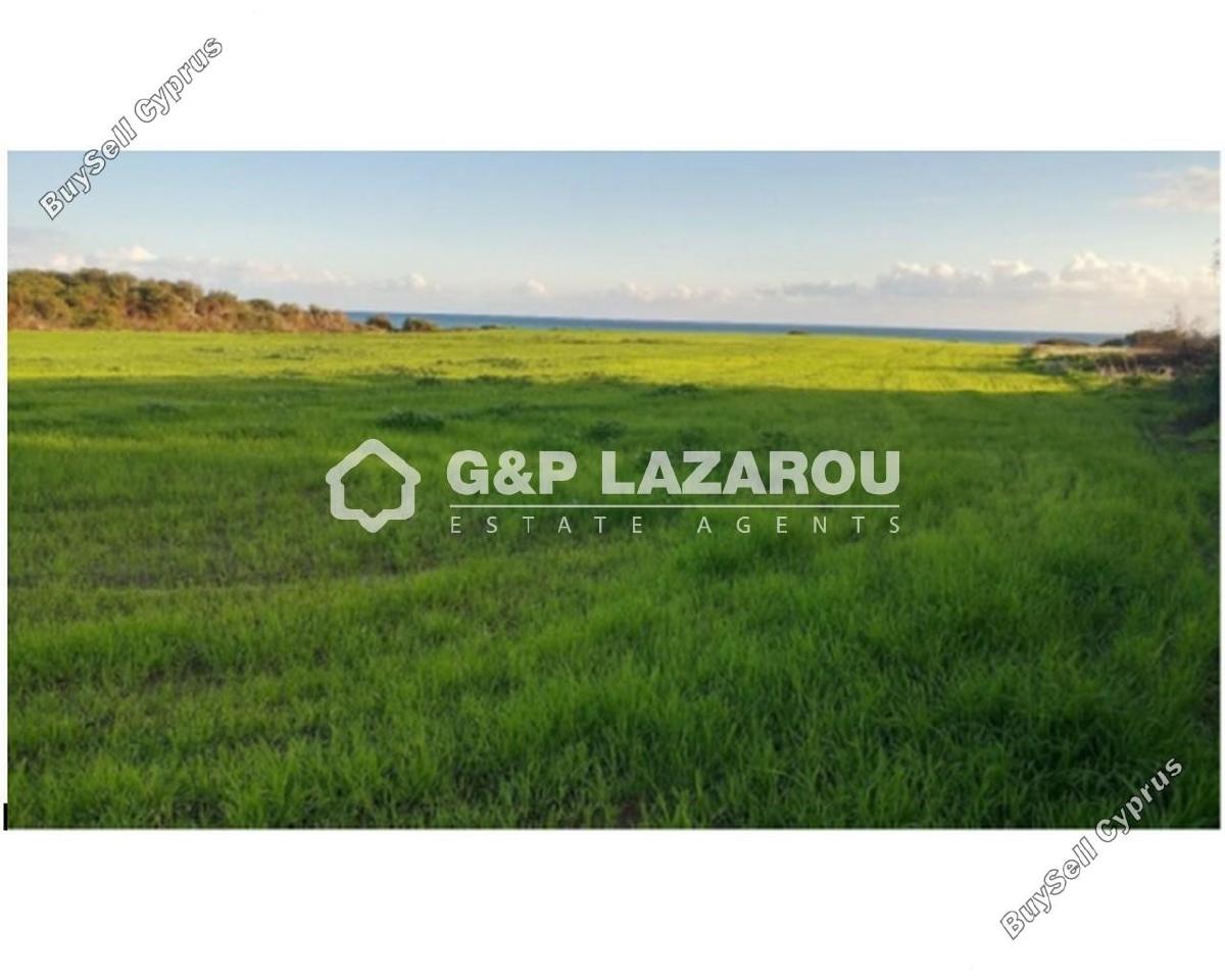 land for sale mazotos larnaca 1842983 image 6600494