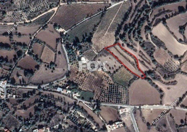 5017 SQM Plot for sale in Fyti, Paphos 5517431