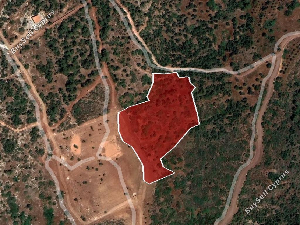 land for sale baths of aphrodite paphos 946093 image 15599452