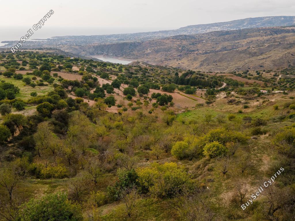 land for sale koili paphos 823093 image 16008933