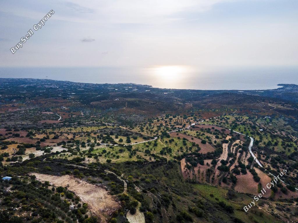 land for sale koili paphos 823093 image 16008935